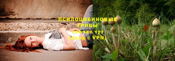 каннабис Алексеевка