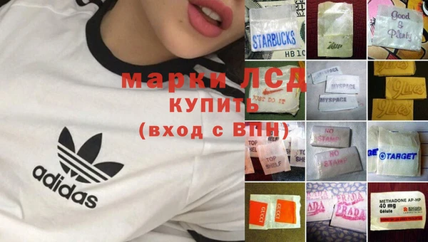 шишки Майский